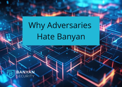 Why Adversaries hate Banyan SSE