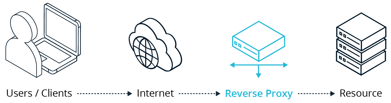 Reverse Proxy | Banyan Security