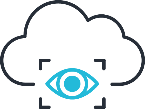 banyan CASB Icons_Visibillity – Banyan Security