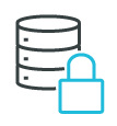 banyan-line-iconsSWG_data | Banyan Security