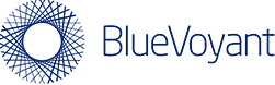 BlueVoyant logo