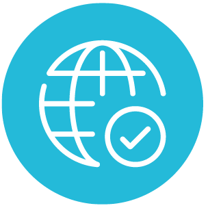 Secure Web Gateway (SWG)